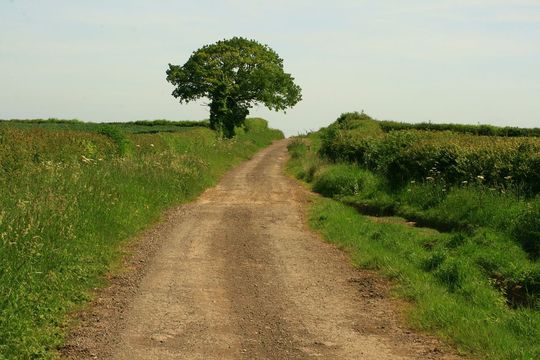 Along the Roman, Fosse Way.